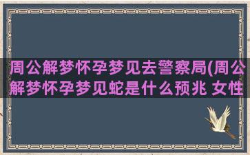 周公解梦怀孕梦见去警察局(周公解梦怀孕梦见蛇是什么预兆 女性)